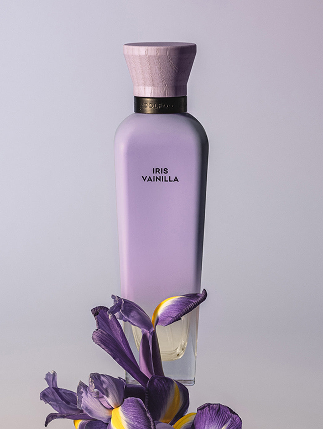 Iris Vainilla by Perfumerías Padilla