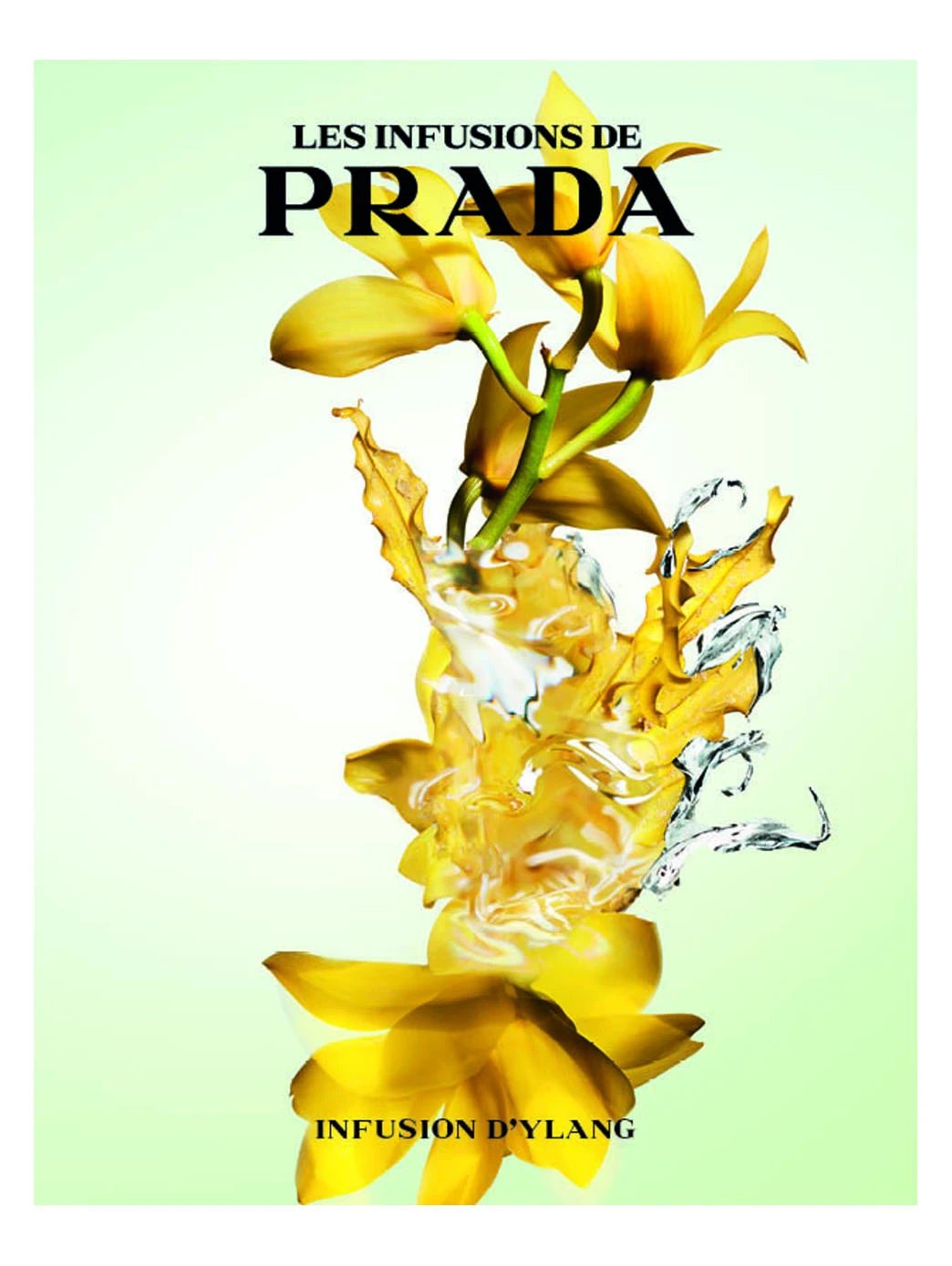 Prada Infusion D'Ylang by Perfumerías Padilla