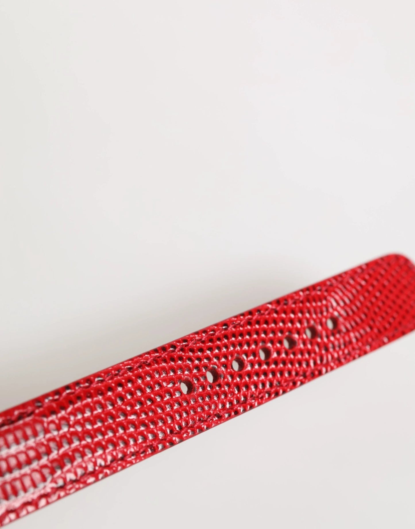 Dolce & Gabbana Red Exotic Leather Gold Tone Metal Buckle Women Armband by Dolce & Gabbana