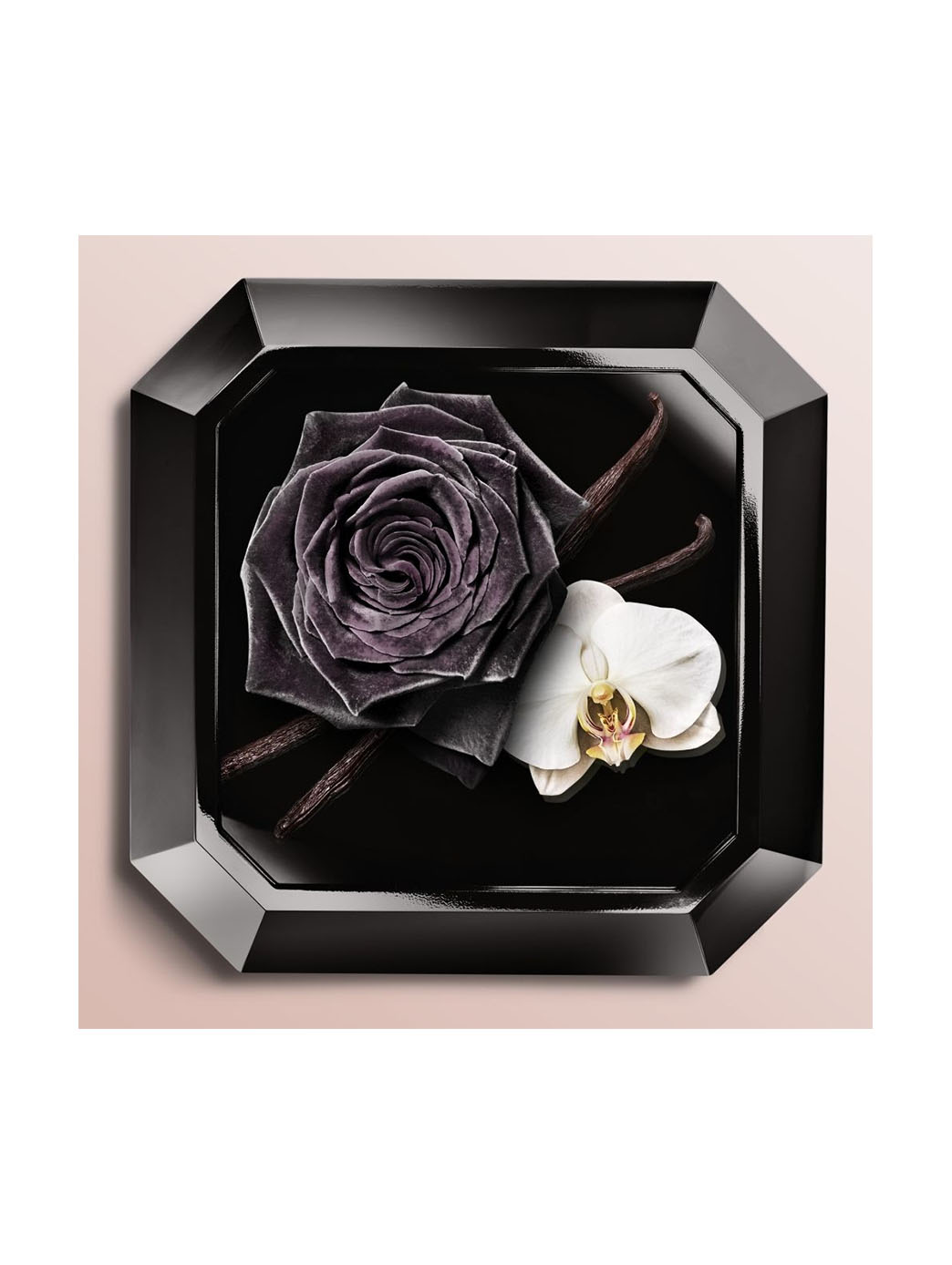 La Nuit Trésor by Perfumerías Padilla