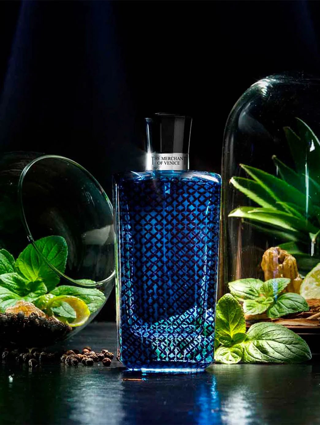 Venetian Blue Intense by Perfumerías Padilla