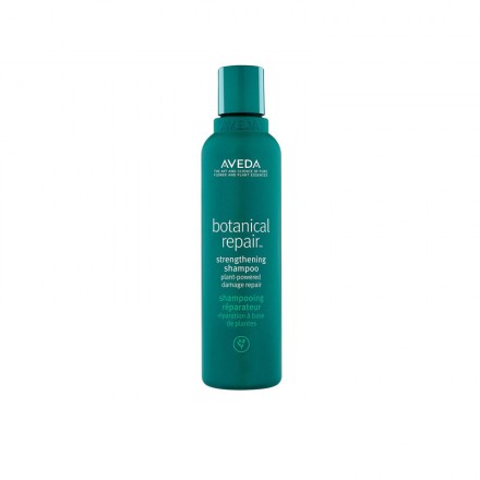 AVEDA Botanical Repair Shampoing Réparateur
