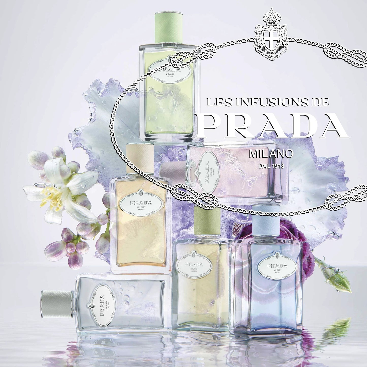 Infusion De Mimosa by Perfumerías Padilla