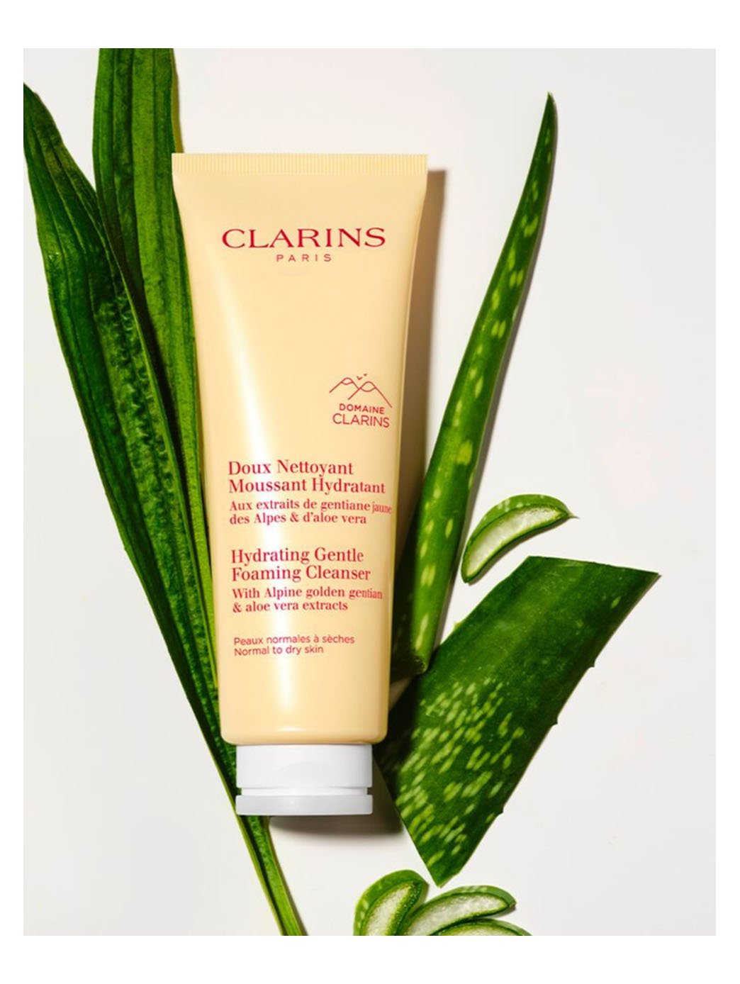 Mousse Nettoyante Douce Hydratante Clarins – Authentique | HBPS Beauty - HBPS Beauty & Fashion