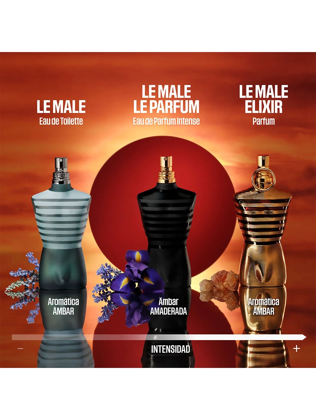 Le Male Elixir by Perfumerías Padilla