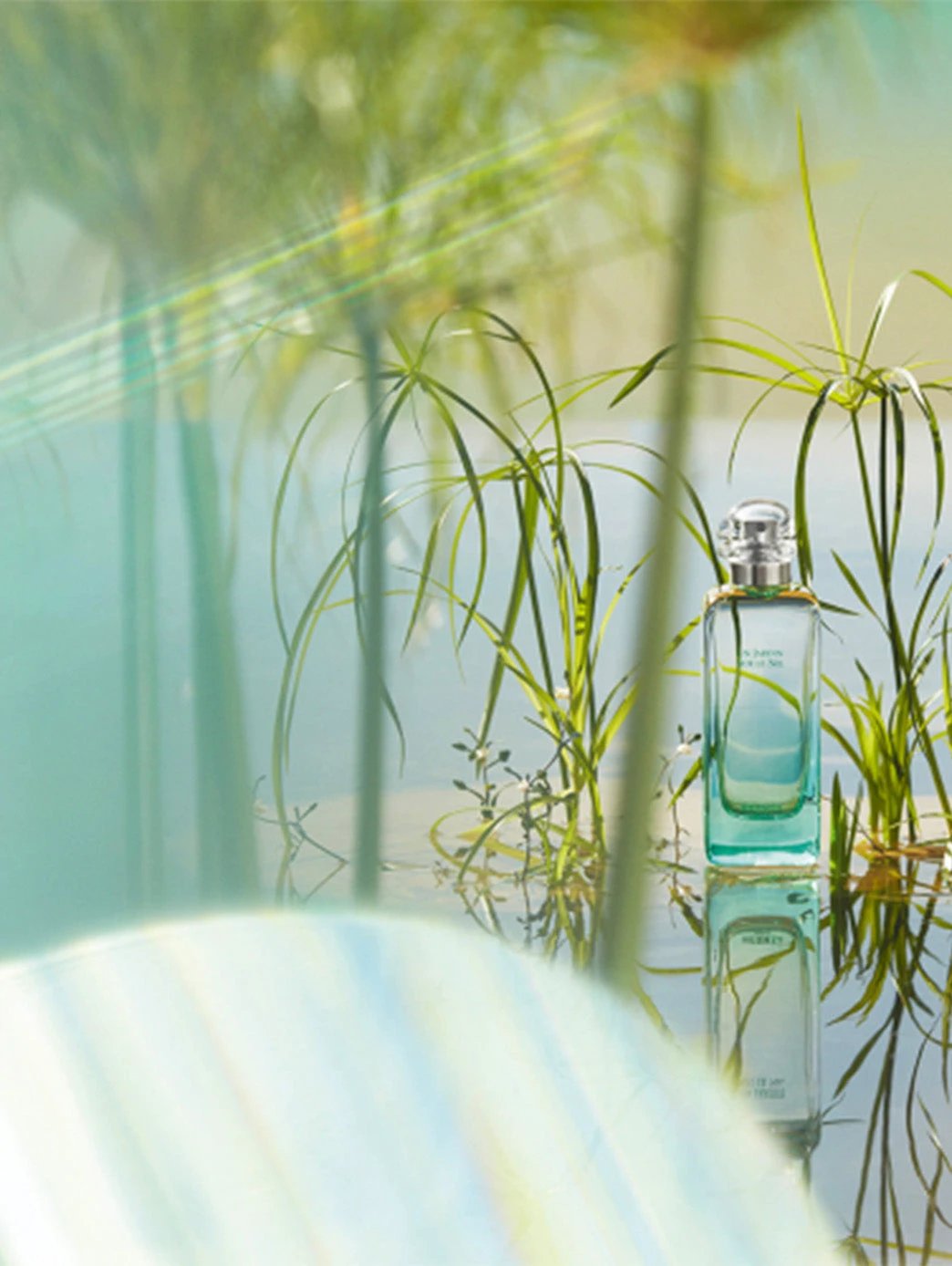 Un Jardin Sur Le Nil by Perfumerías Padilla