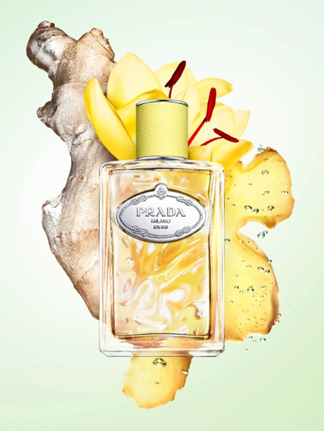 Les Infusions Gingembre Unisexe Mandarine Verte Daniela Andrier by Perfumerías Padilla