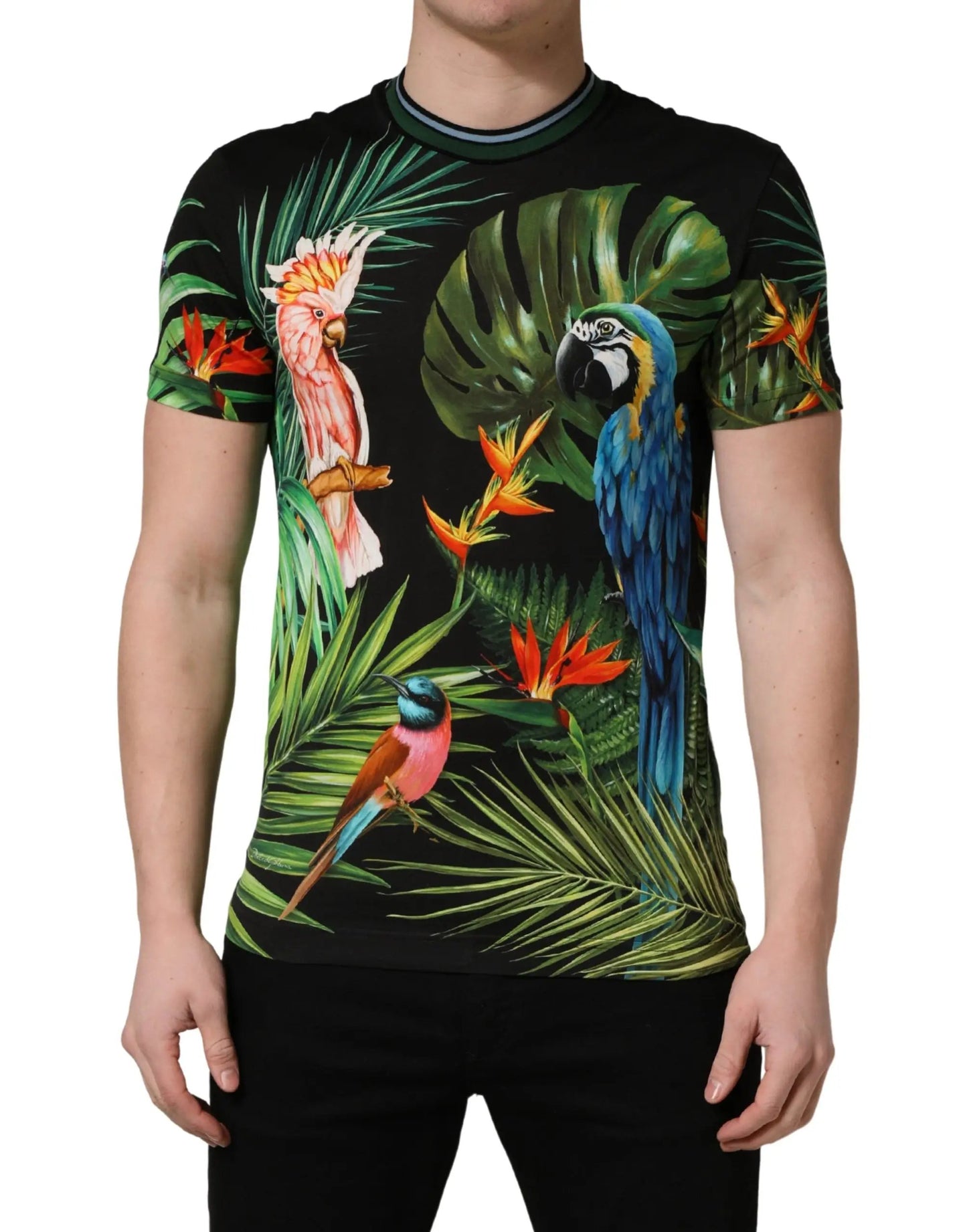 Dolce & Gabbana Black Bird Print Cotton Men Crew Neck T-shirt by Dolce & Gabbana