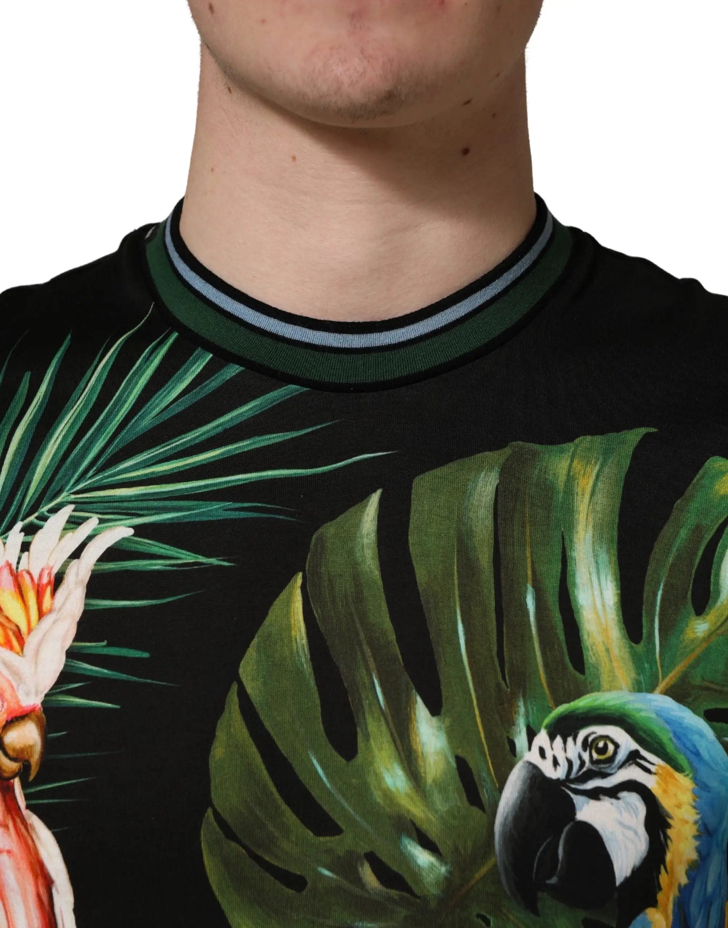 Dolce & Gabbana Black Bird Print Cotton Men Crew Neck T-shirt by Dolce & Gabbana