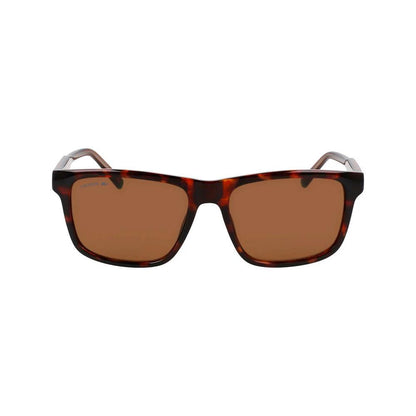 Lacoste Brown Injected Sunglasses by Lacoste