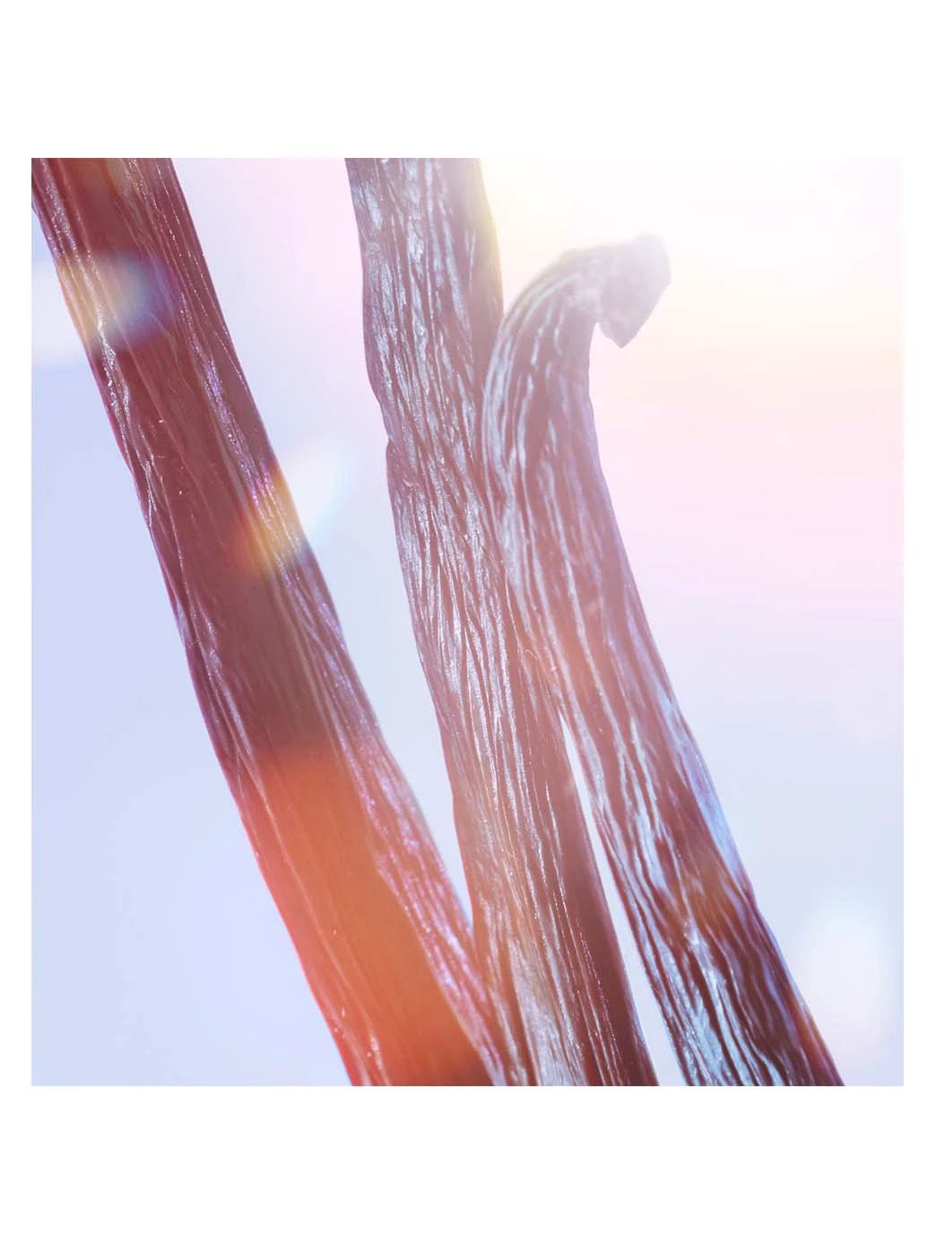 La Vie Est Belle Soleil Cristal by Perfumerías Padilla