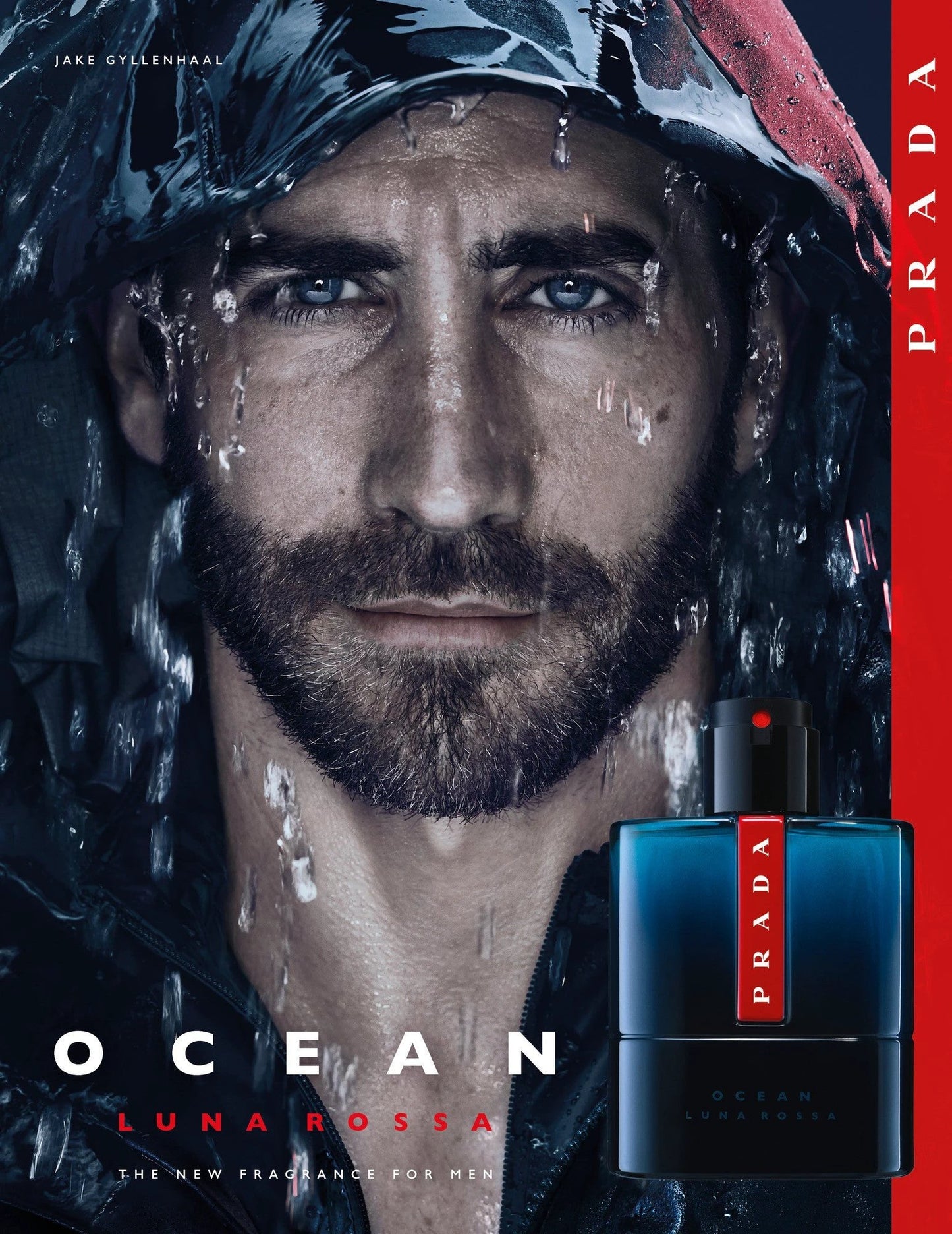 Luna Rossa Ocean EDT by Perfumerías Padilla