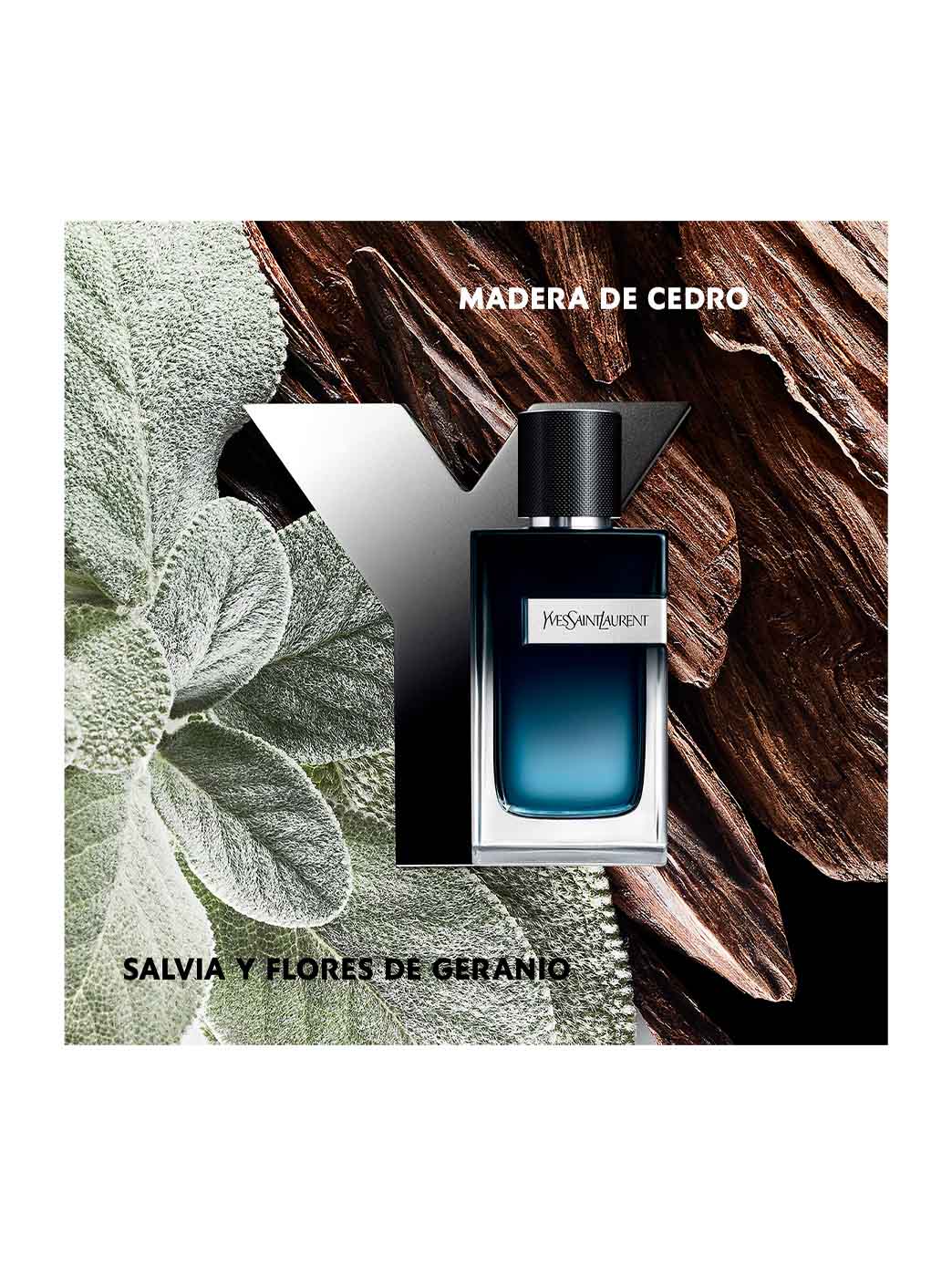 Y Perfume by Perfumerías Padilla
