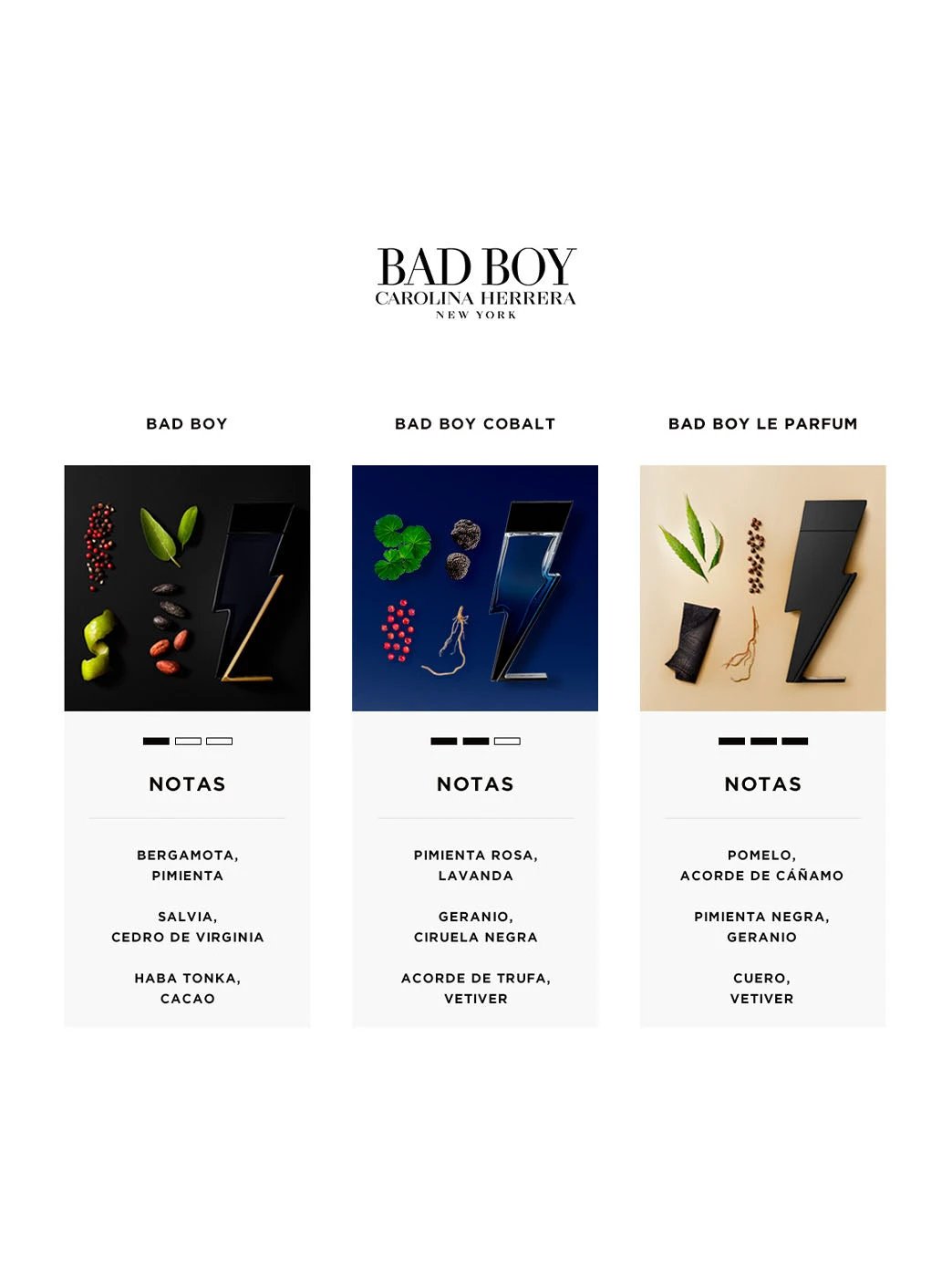 Bad Boy Le Parfum by Perfumerías Padilla