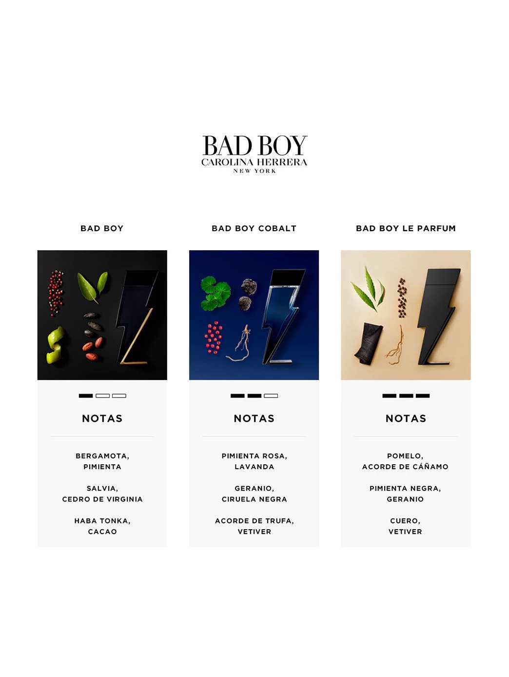 Bad Boy by Perfumerías Padilla