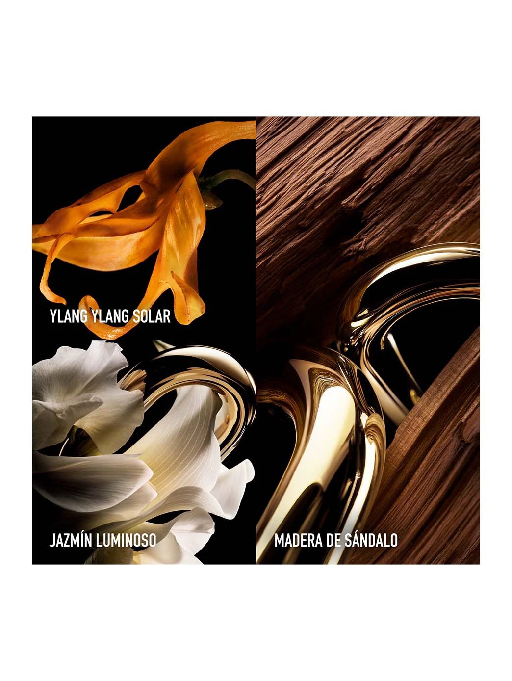 Million Gold For Her Parfum Refill by Perfumerías Padilla