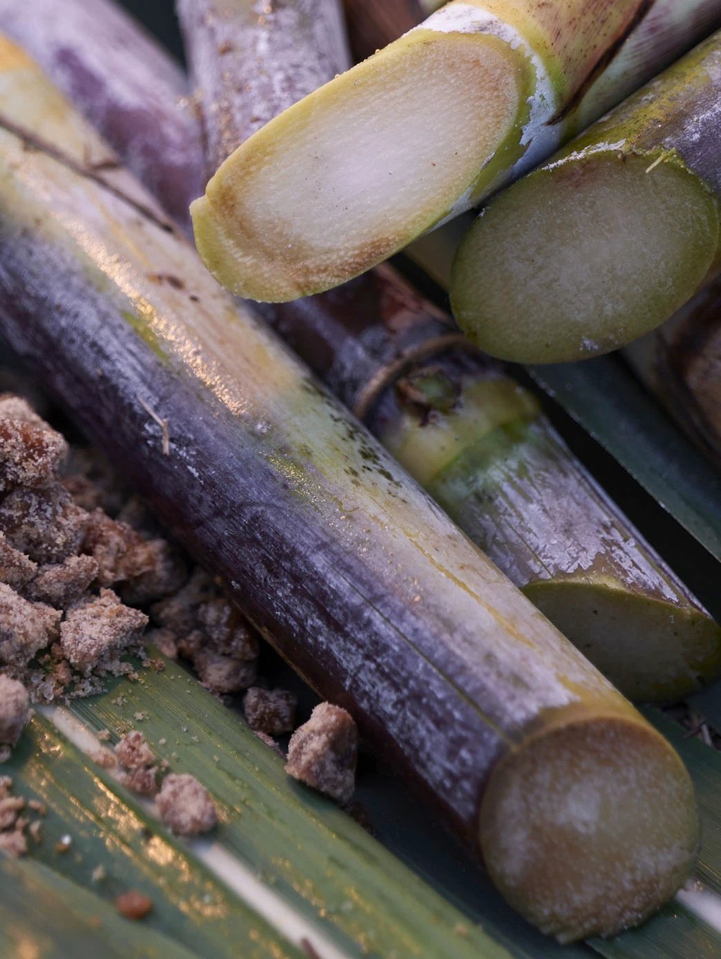 Waso Pore Purifying Scrub Mask by Perfumerías Padilla