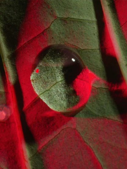 Total Eye Lift by Perfumerías Padilla