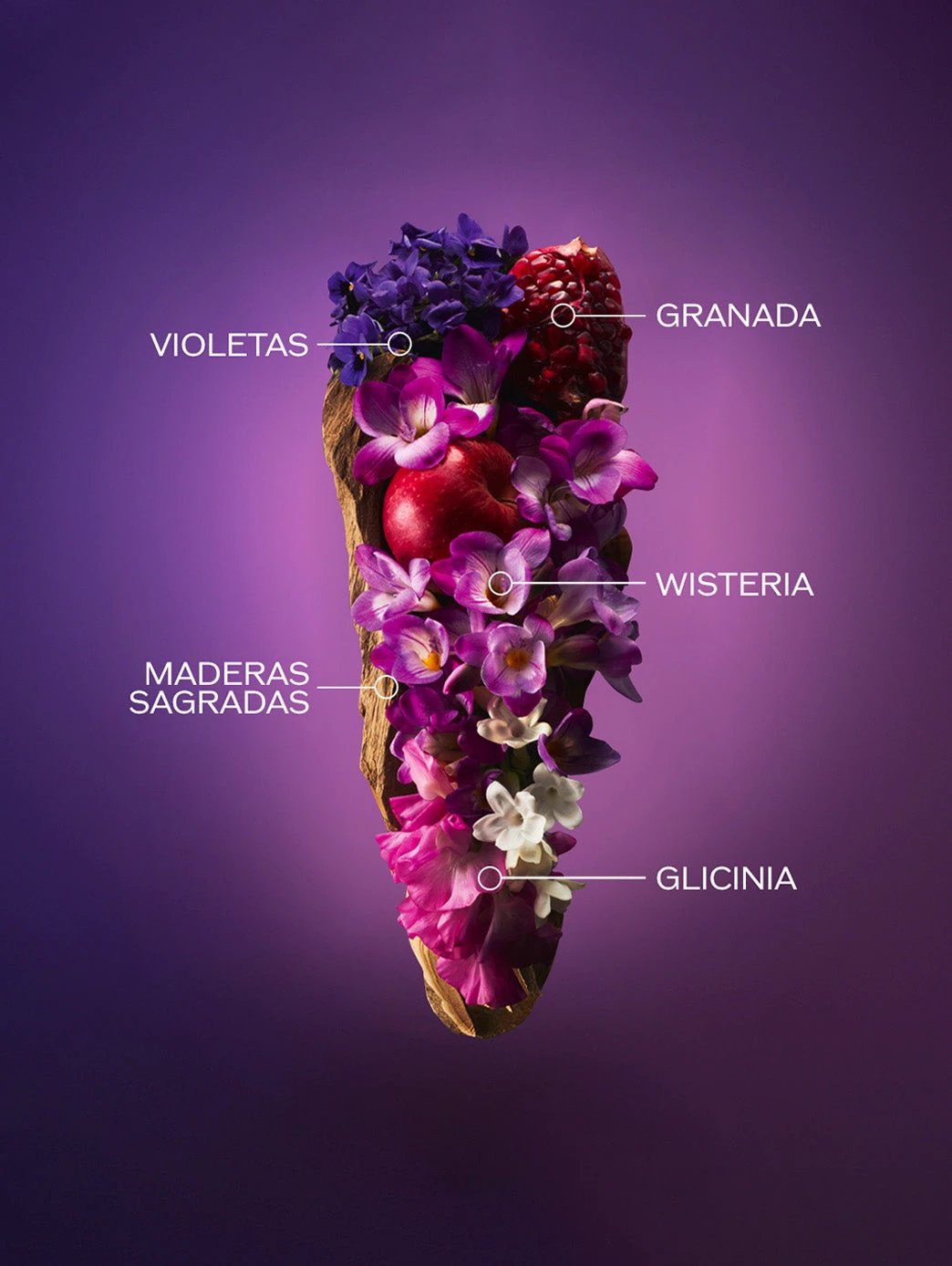 Ginza Eau De Parfum Murasaki by Perfumerías Padilla