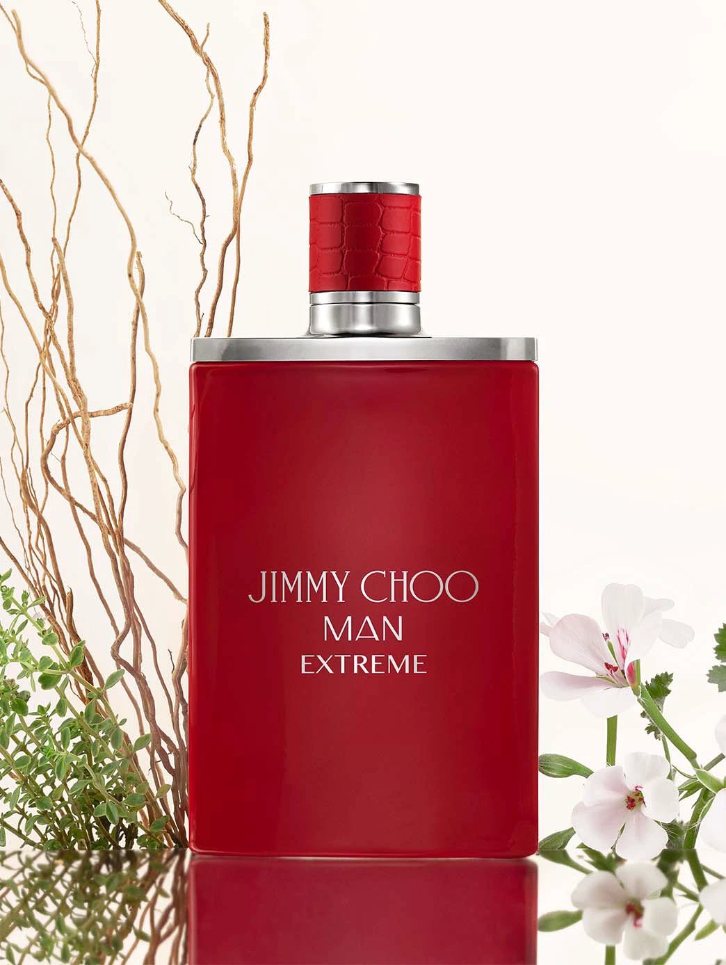 Jimmy Choo Man Extreme by Perfumerías Padilla