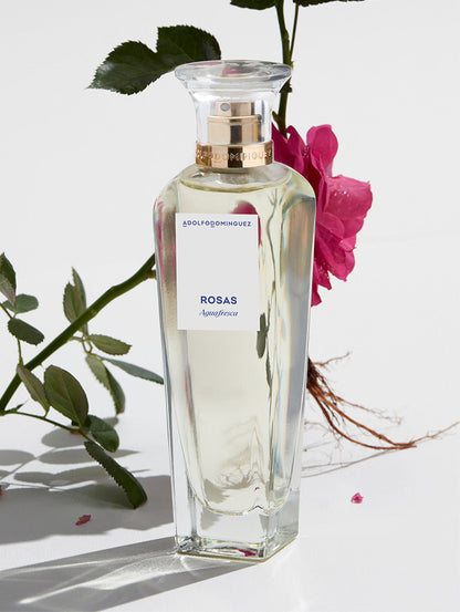 Agua Fresca De Rosas by Perfumerías Padilla
