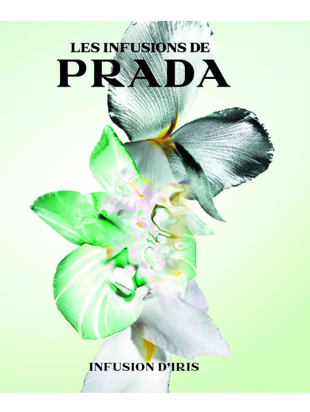 Prada Infusion D'Iris by Perfumerías Padilla