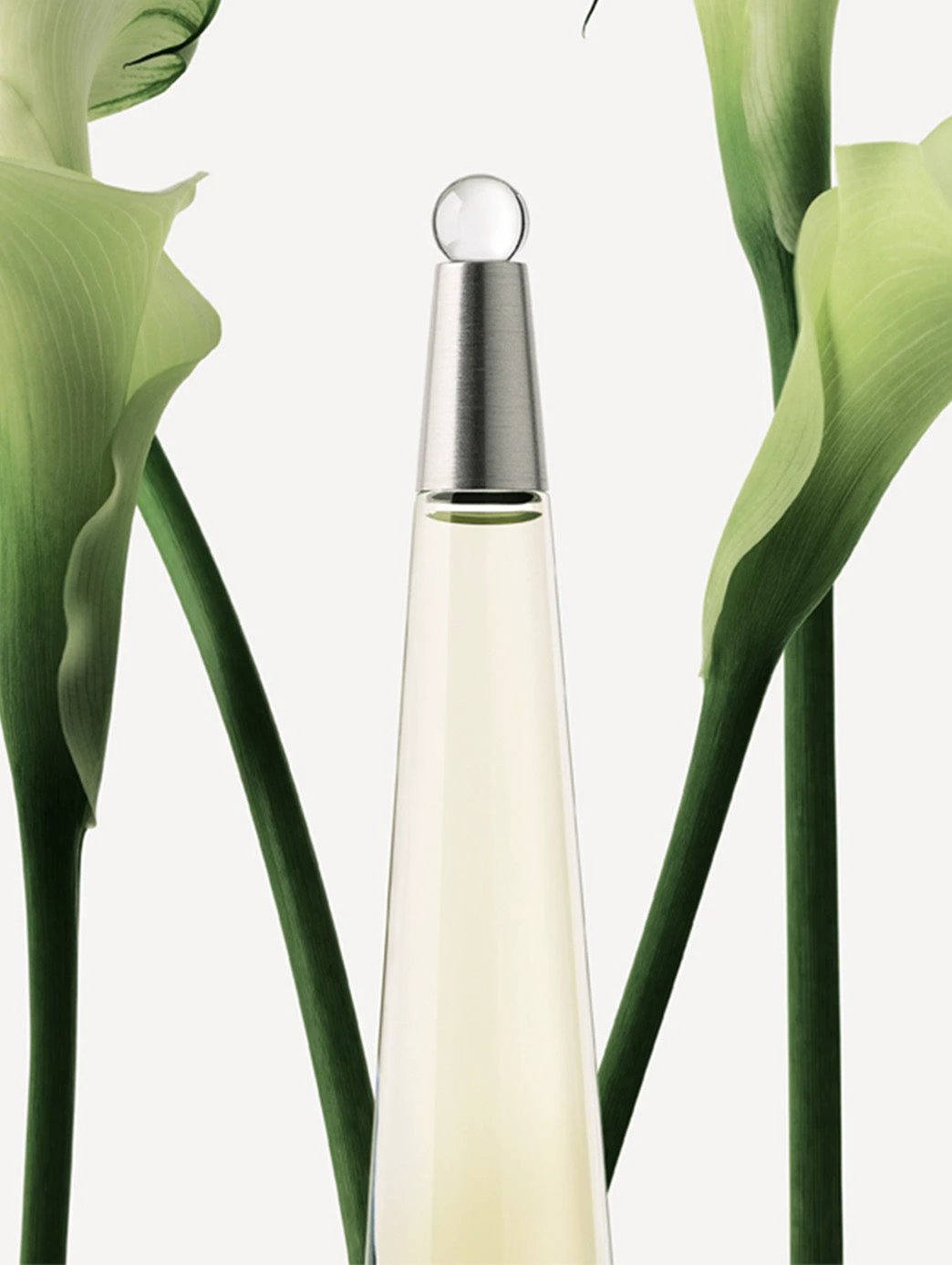 L'Eau d'Issey by Perfumerías Padilla