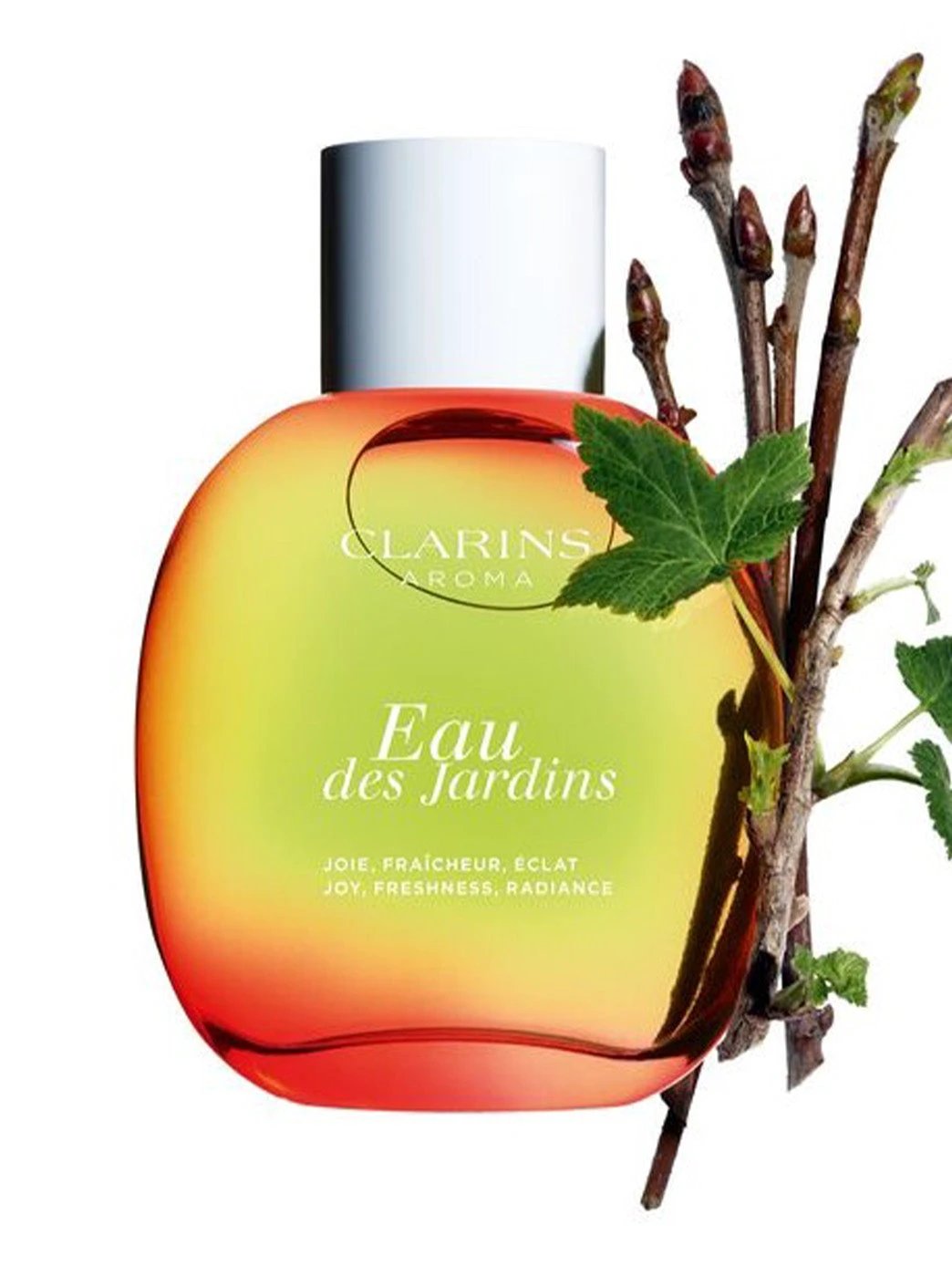Agua De Tratamiento- Eau Des Jardins by Perfumerías Padilla