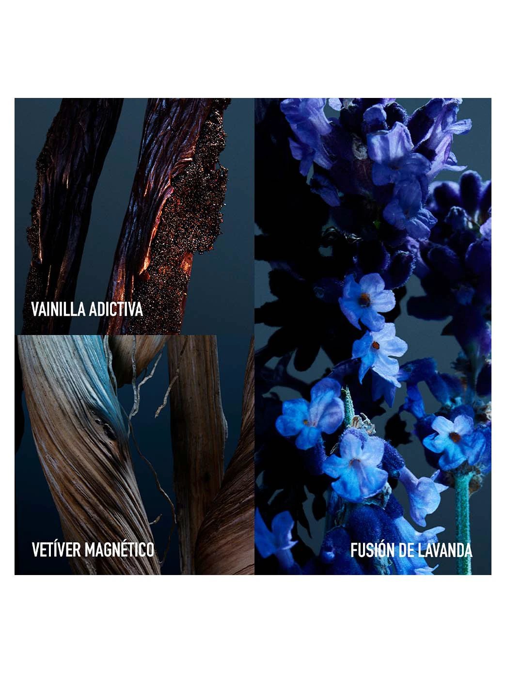 Phantom Parfum Refillable by Perfumerías Padilla