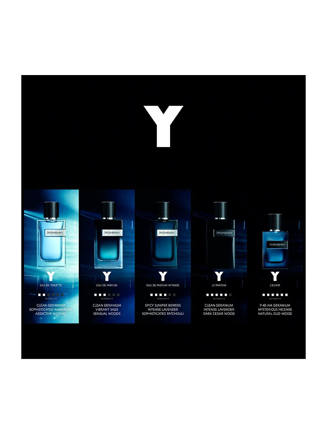 Y Perfume by Perfumerías Padilla