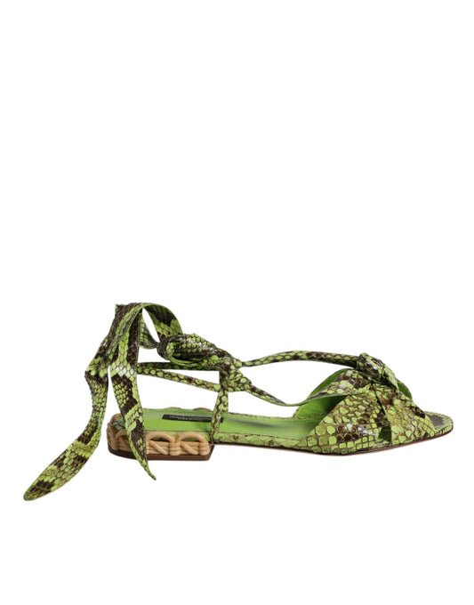 Sandales plates Dolce & Gabbana à lien de cheville en python vert – LA12551