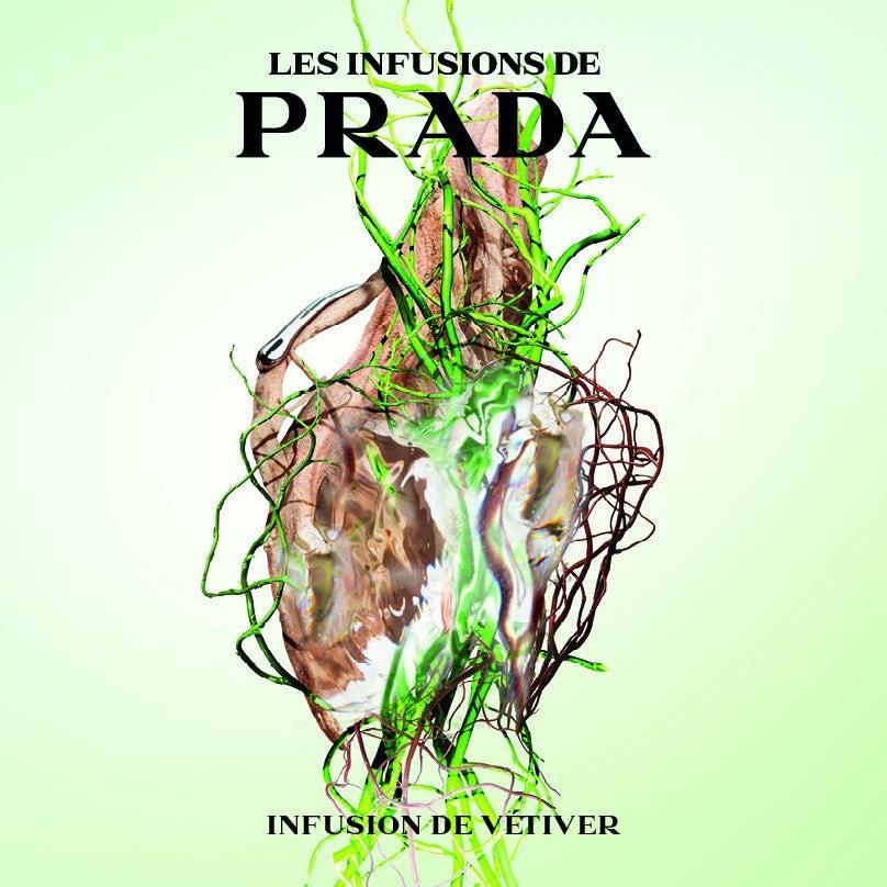 Prada Infusion de Vetiver Parfum Unisexe Luxueux Frais et Intemporel