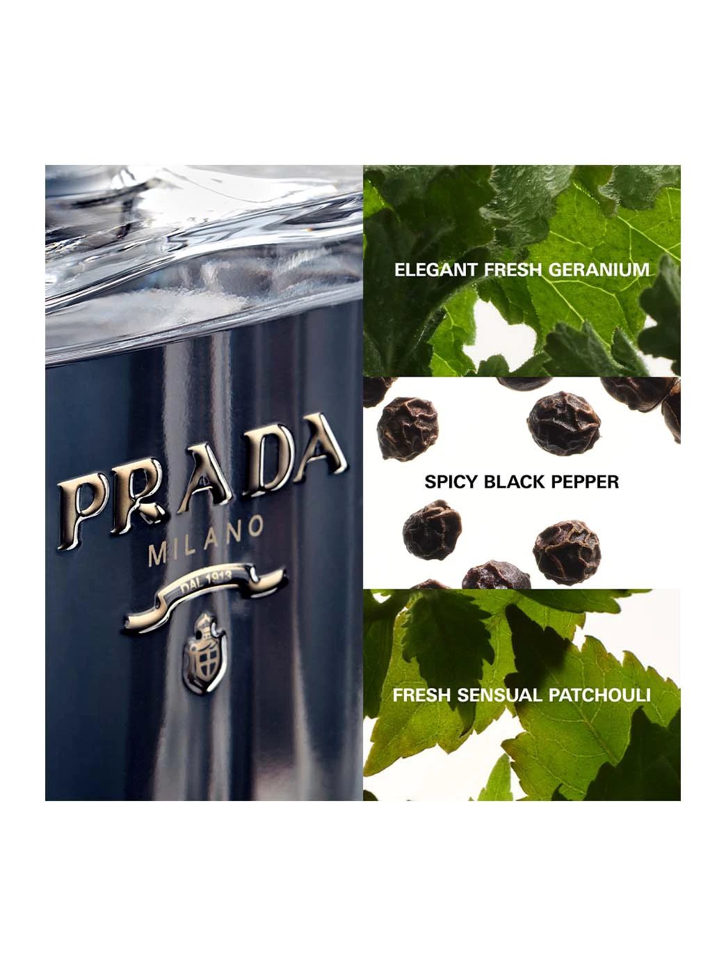 L'Homme Prada by Perfumerías Padilla