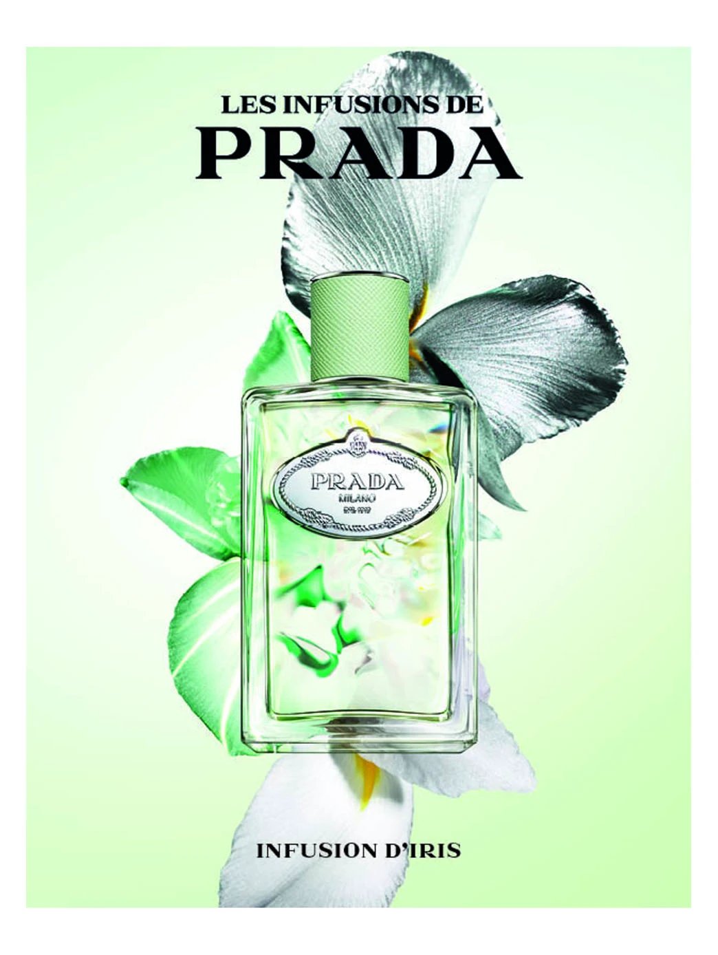 Prada Infusion D'Iris by Perfumerías Padilla