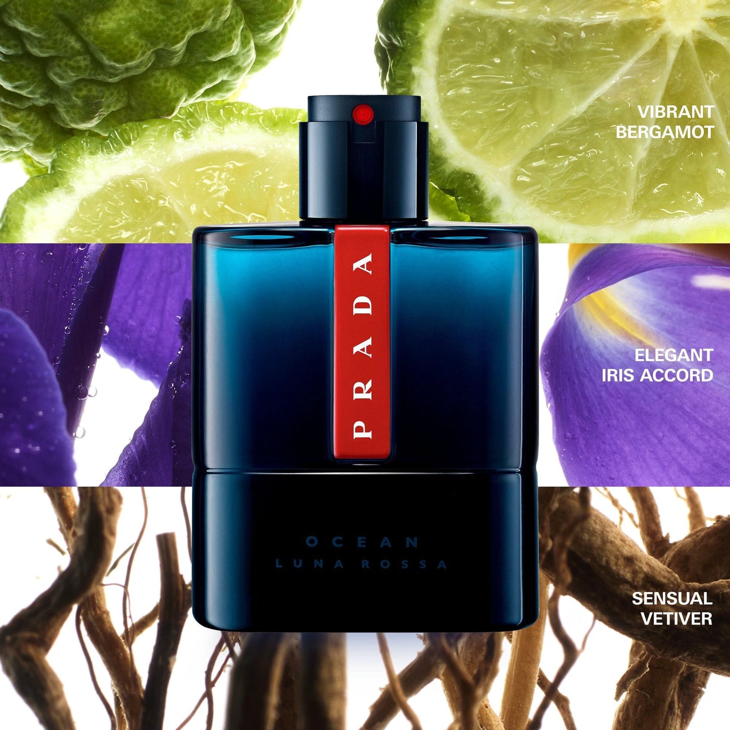 Luna Rossa Ocean EDT by Perfumerías Padilla