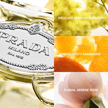 Infusion De Mimosa by Perfumerías Padilla
