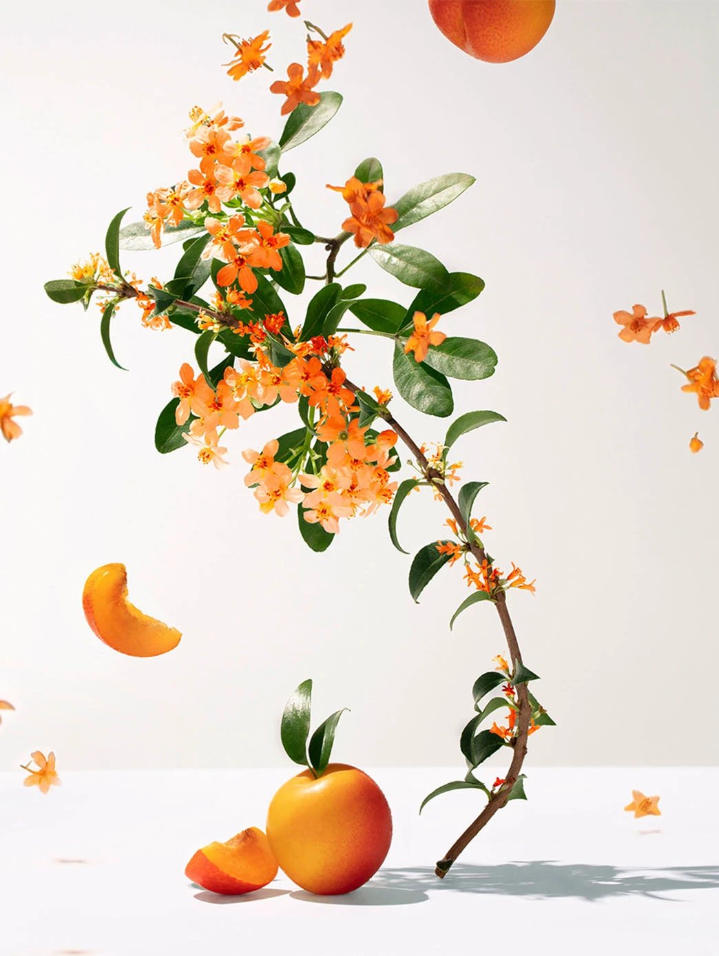 Fleur D'Osmanthus by Perfumerías Padilla