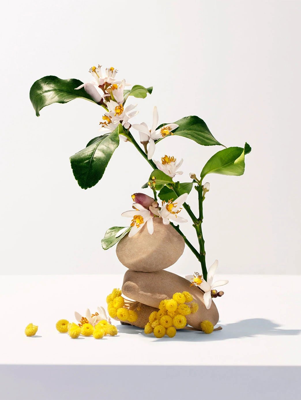Neroli