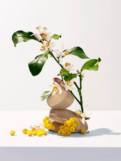 Neroli