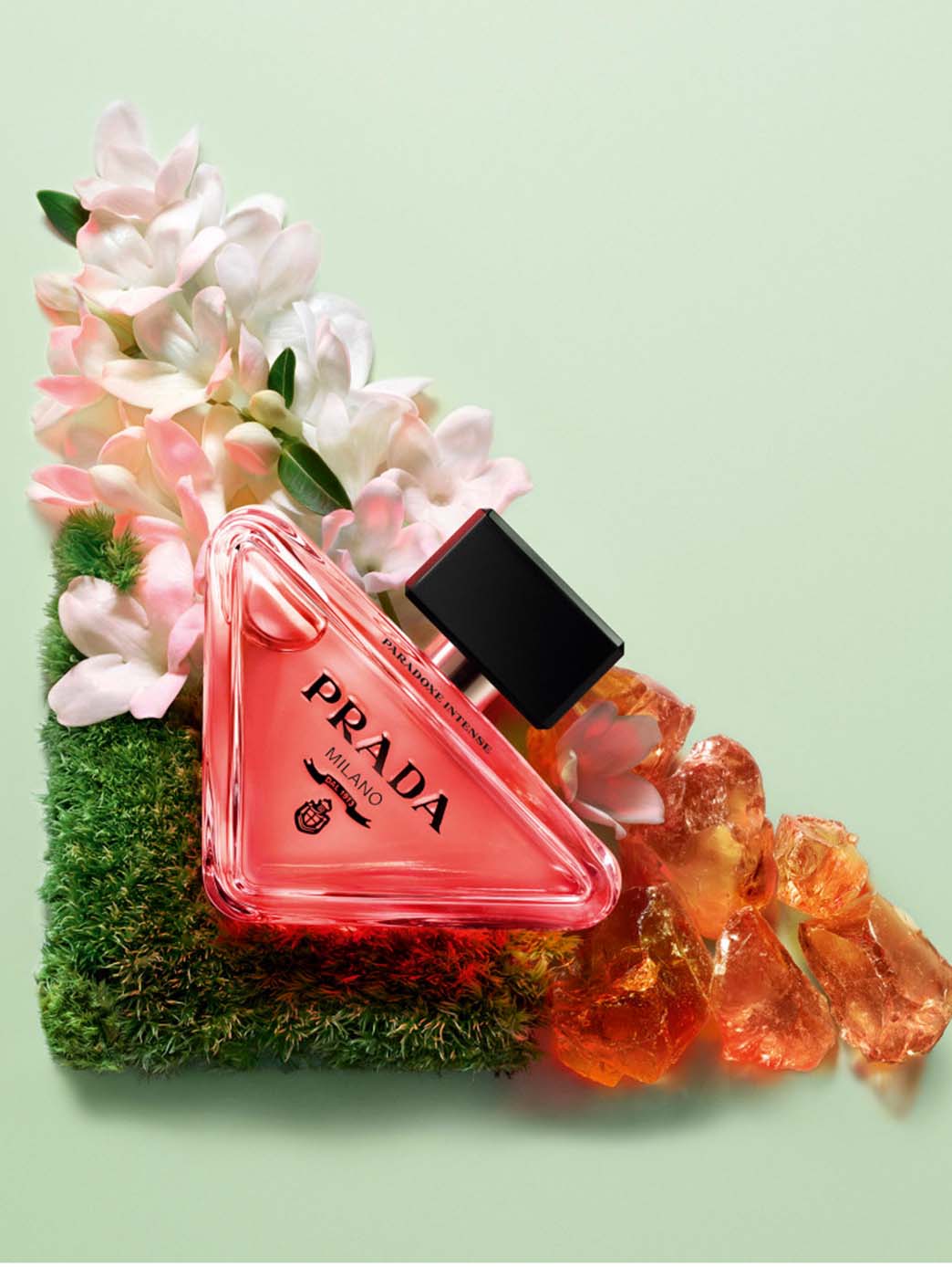 Paradoxe Intense by Perfumerías Padilla