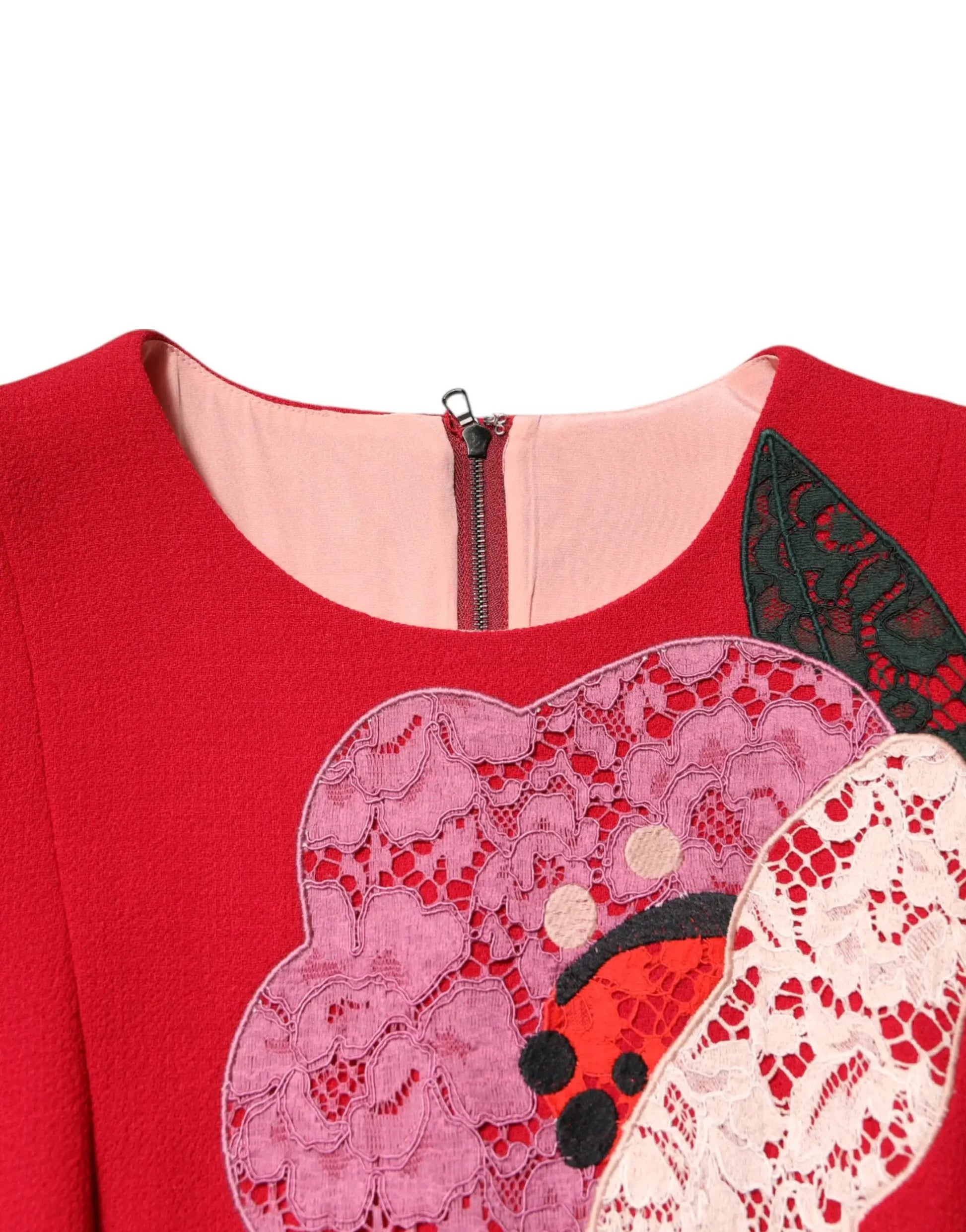 Dolce & Gabbana Red Lace Floral Applique A-line Mini Dress by Dolce & Gabbana