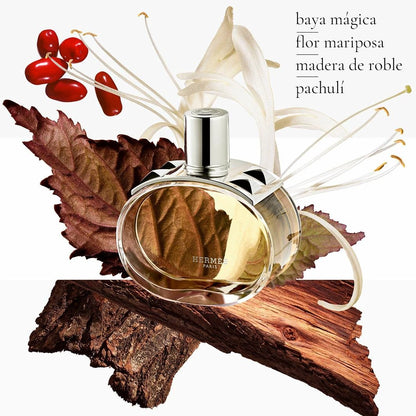 Barénia Refill by Perfumerías Padilla
