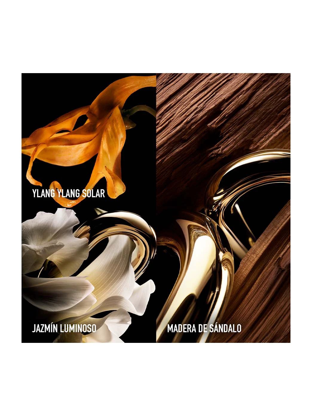 Million Gold For Her Parfum by Perfumerías Padilla