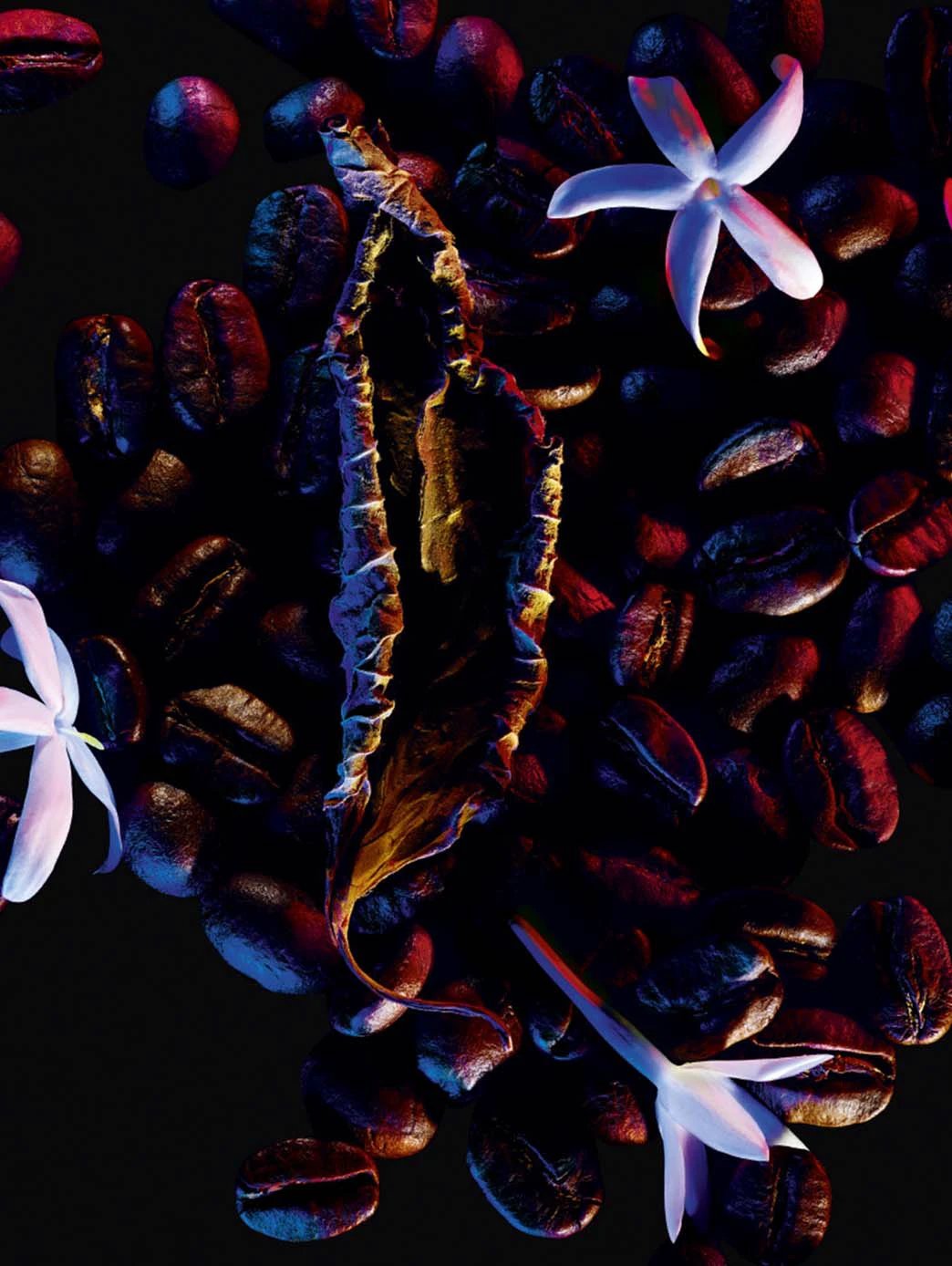 Black Opium by Perfumerías Padilla