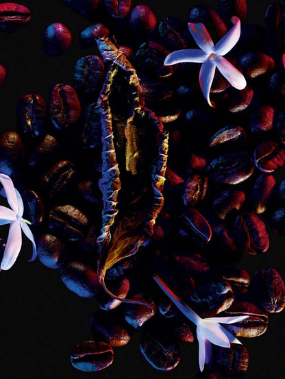 Black Opium by Perfumerías Padilla