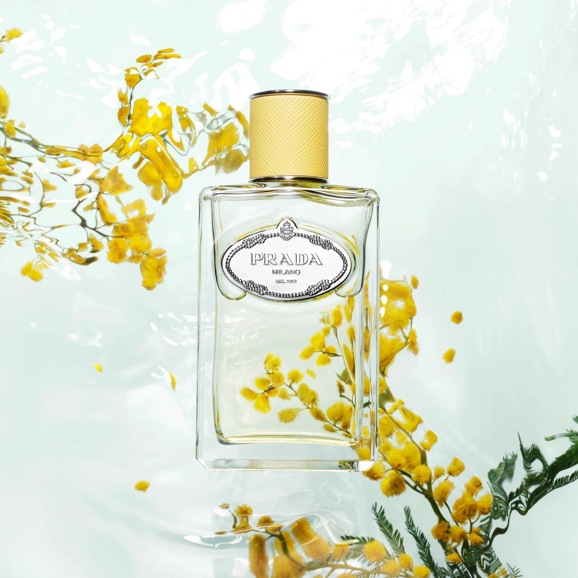 Infusion De Mimosa by Perfumerías Padilla