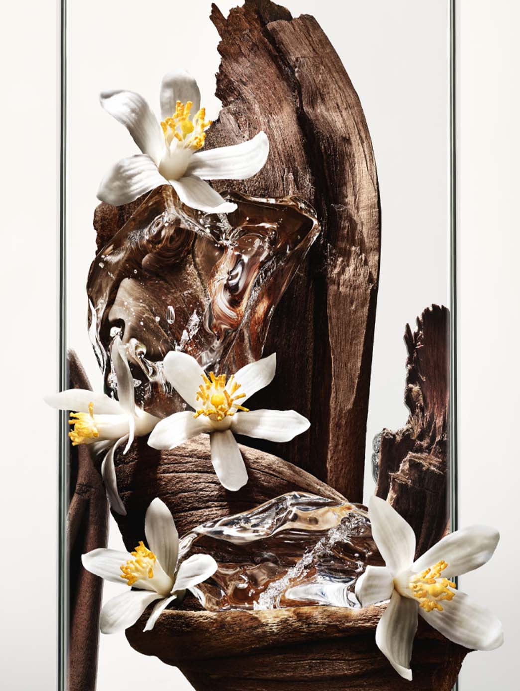 MYSLF Recarga by Perfumerías Padilla