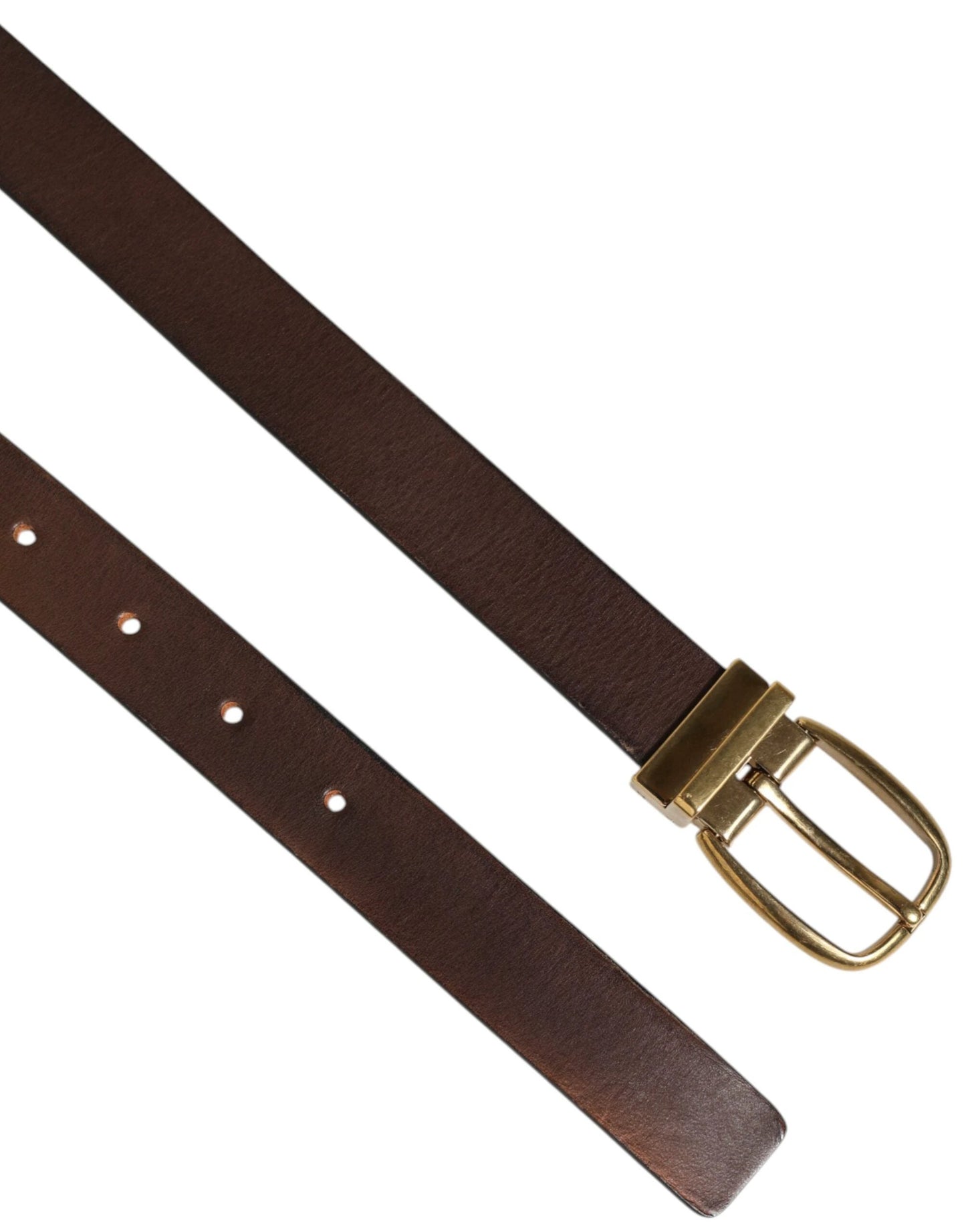 Dolce & Gabbana Brown Classic Gold Metal Logo Buckle Men Belt by Dolce & Gabbana