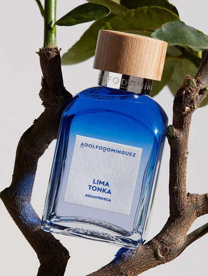 Lima Tonka by Perfumerías Padilla
