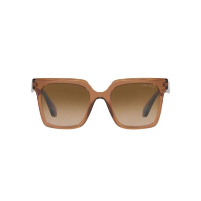 Giorgio Armani Brown Acetate Sunglasses by Giorgio Armani